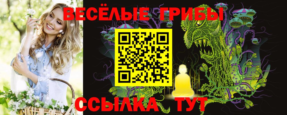 Галлюциногенные грибы MAGIC MUSHROOMS  Псилоцибиновые грибы мицелий  Вход с VPN  Великий Новгород 
